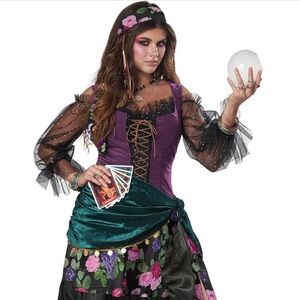 Women's Gypsy Fortune Teller Costume (Large)